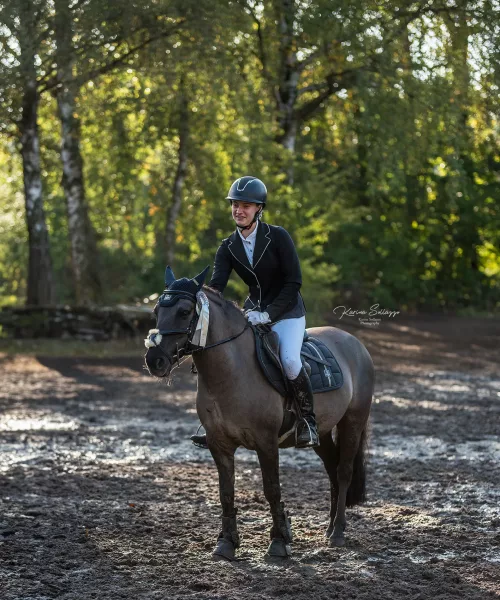 Reiter mit Pferd Siegerehrung Turnier