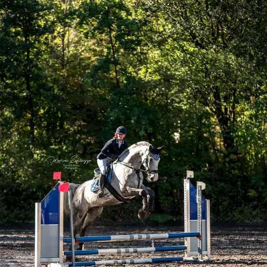 Schimmelreiterin auf Turnier