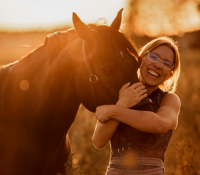 Pferd mit Mensch Sonnenuntergang im Sonnenblumenfeld