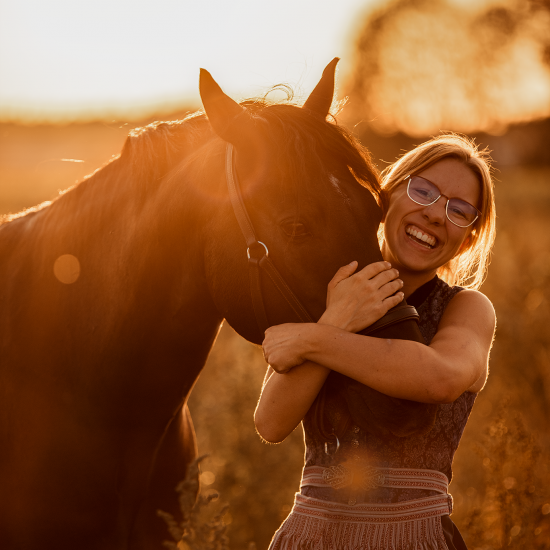 Pferd mit Mensch Sonnenuntergang im Sonnenblumenfeld