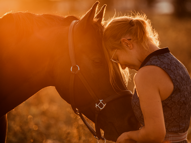 Pferd mit Mensch Sonnenuntergang